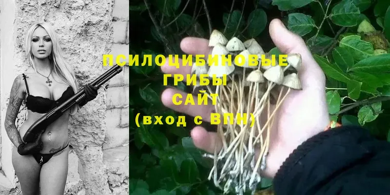 Галлюциногенные грибы Cubensis  где купить наркотик  Бор 